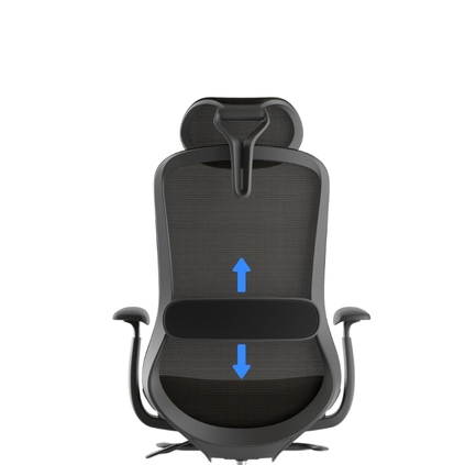 ergonomic-office-chair-erbi-lumbar-support
