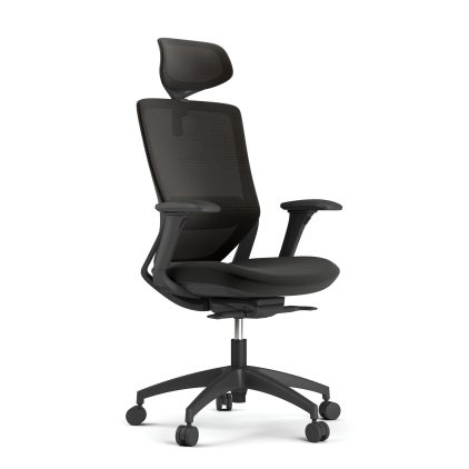 ergonomic-chair-nickel-main-picture